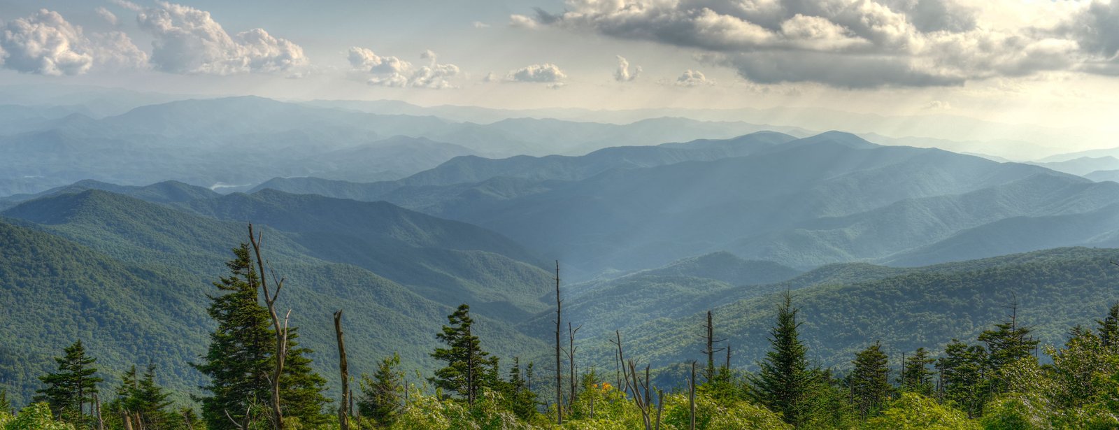 Debbie’s Card Cteation