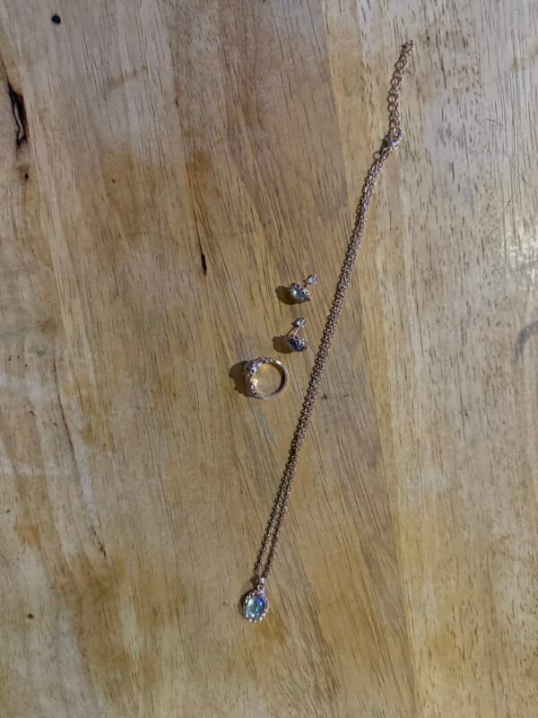 20 INCH Necklace AND EARRINGS